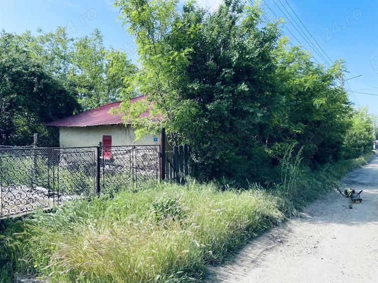 Casa batraneasca + Teren 1430mp, sat Mihai Viteazu, com. V.Tepes, jud. Calarasi - 5