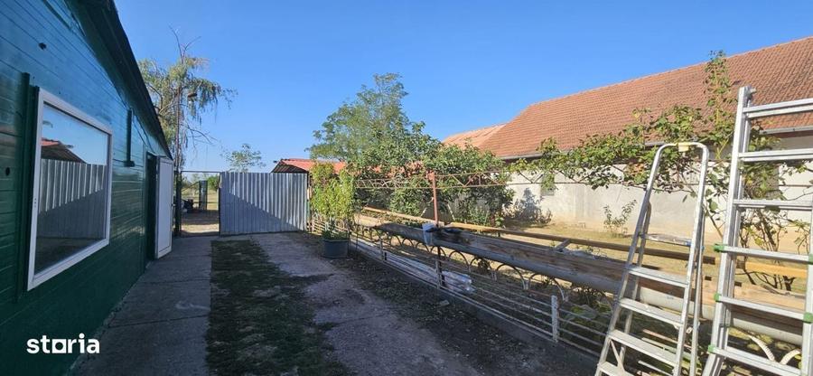 Gelu Casa 6 Camere Proiect 2 Familii Teren Generos - 14