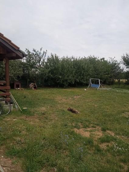 Vand casa deosebita in Paulesti - 3