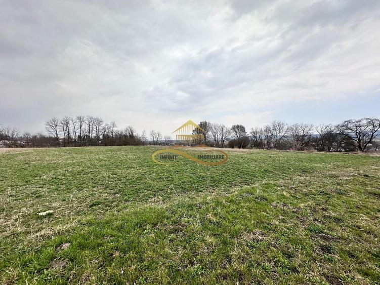 Teren de vanzare Blagesti Bacau - 2