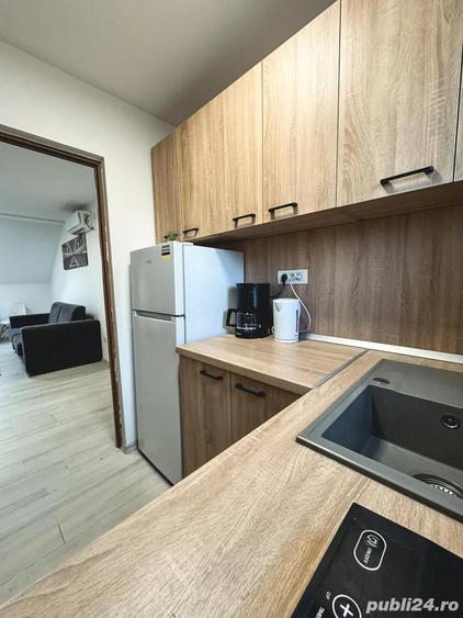 Ofer spre inchiriere STUDIO Modern si Primitor - 4