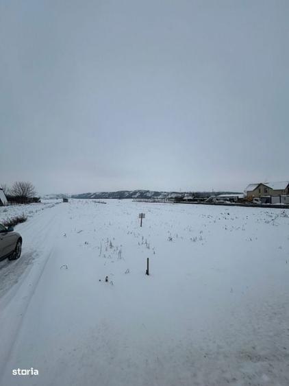 COMISION 0%!!! Teren intravilan,750 mp, in Viisoara - 4