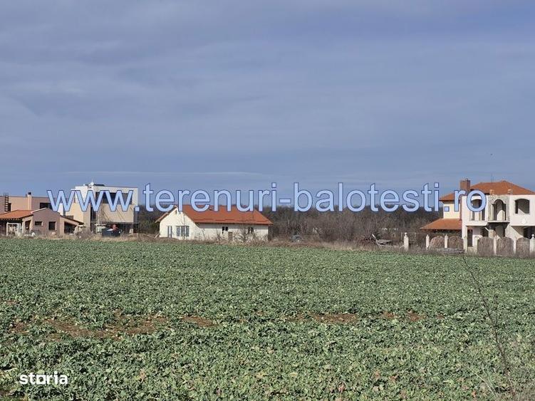 Teren cu gaz si electrica-hotar, 28000 E, padure - 1