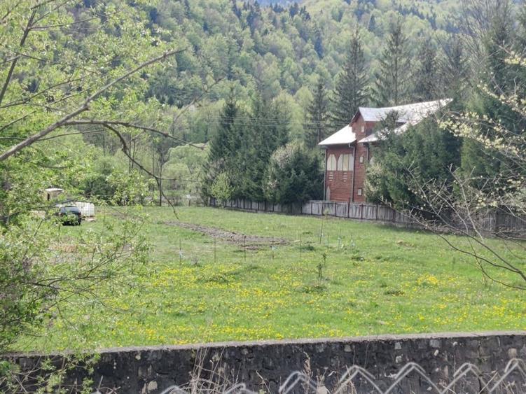 Teren de 1700 mp, în Lepșa