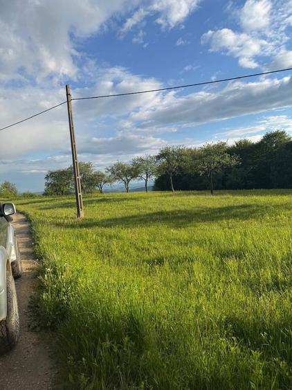 Pamant de vanzare - 5