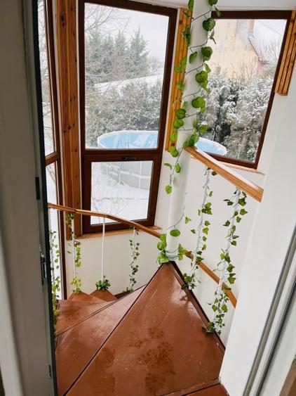 Spatiu comercial/de birouri elegant pentru afacerea ta, Brestei-zona Obedeanu - 2