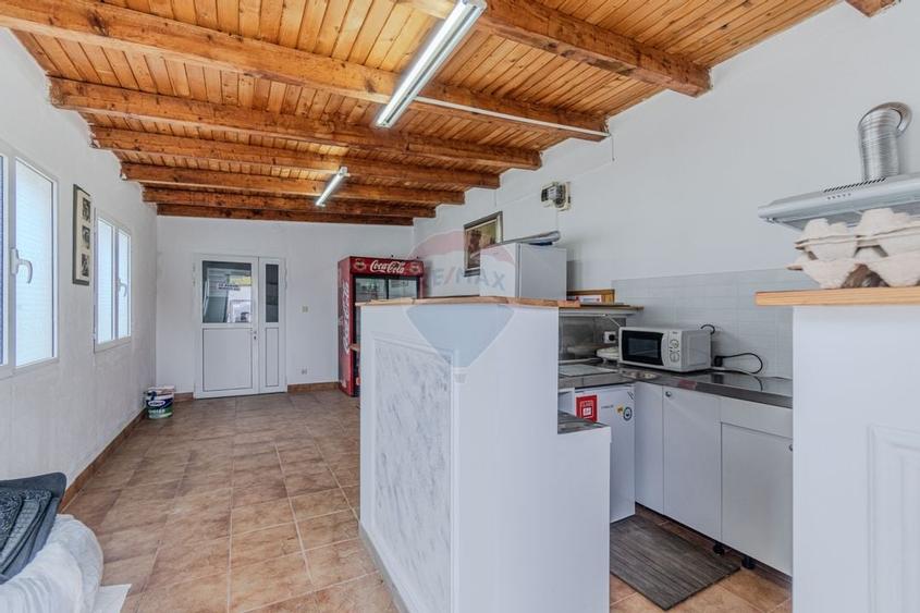 Casa individuala 160 mp, 1.200 mp teren, garaj si spatiu comercial - 20