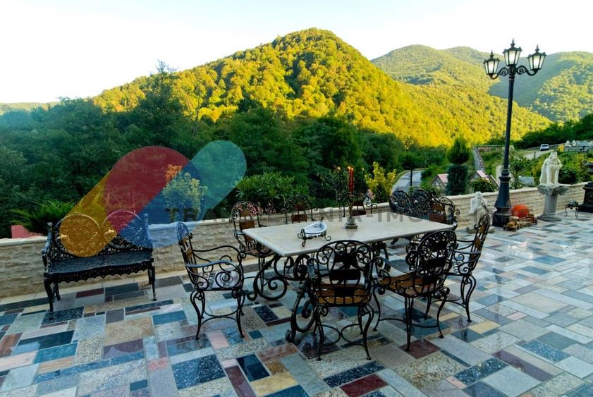 Complex  Printesa din Carpati  - Oportunitate de Investitie Unica pe Valea Aries - 9