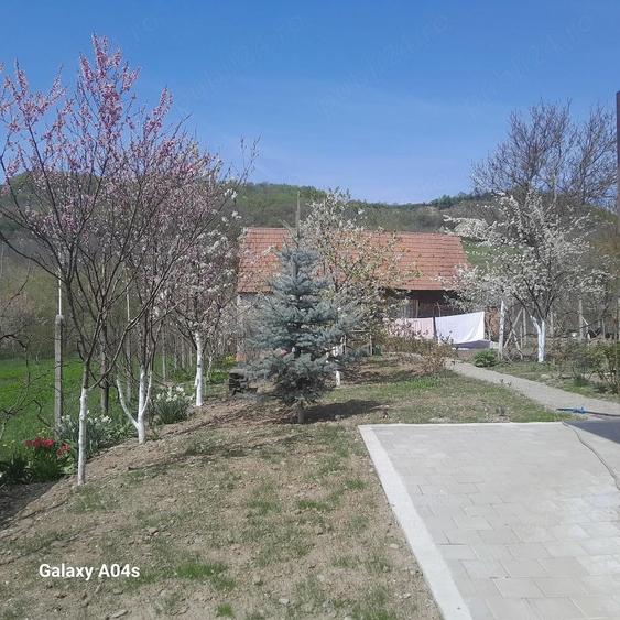 Vand casa in Amna? - 1