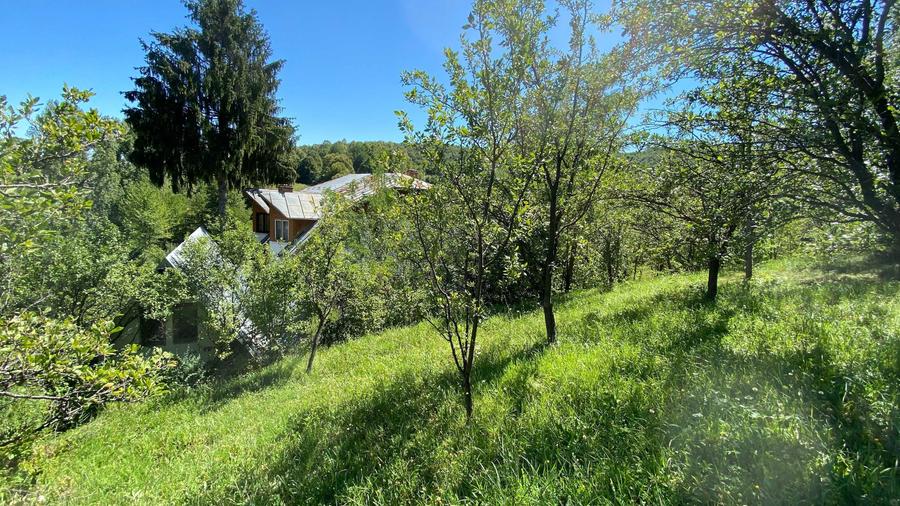 Proprietate mare langa Campina ideala pentru pensiune / retreat / centru disponibila in regim chirie + investitie - 8