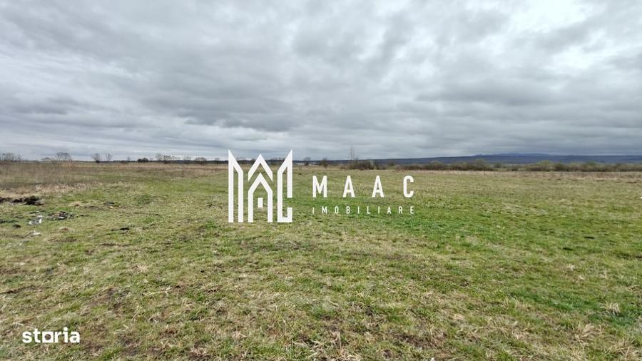 Teren extravilan I 2400 mp I Arabil I Teren drept I Cristian - 1