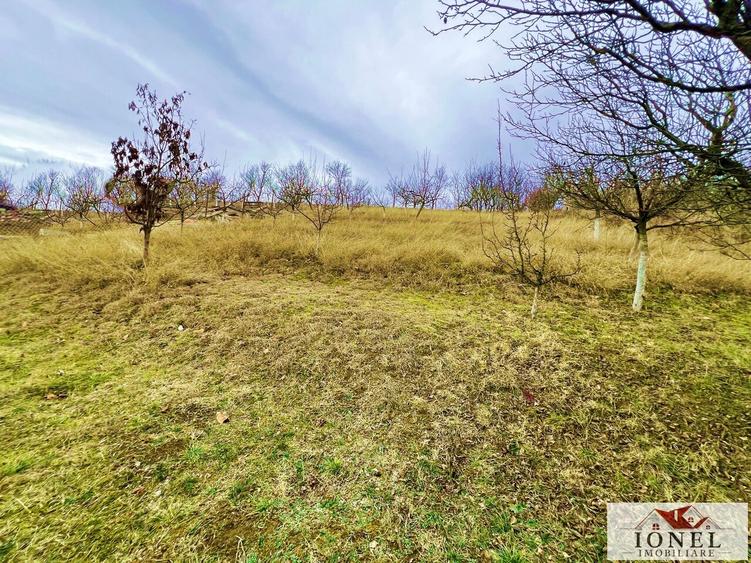 Vanzare casa in Ciugud - Seusa - 8