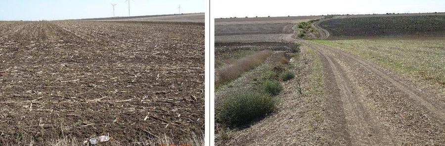 Teren extravilna Cota parte 1/16, CObadin, ID: R2782865 - 3