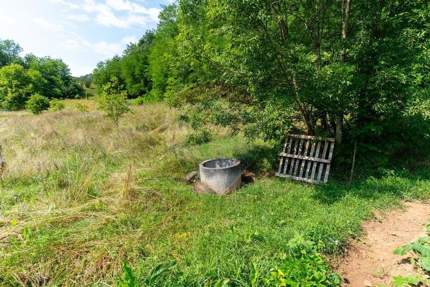 Casa / Vila cu 3 camere de vanzare - 44