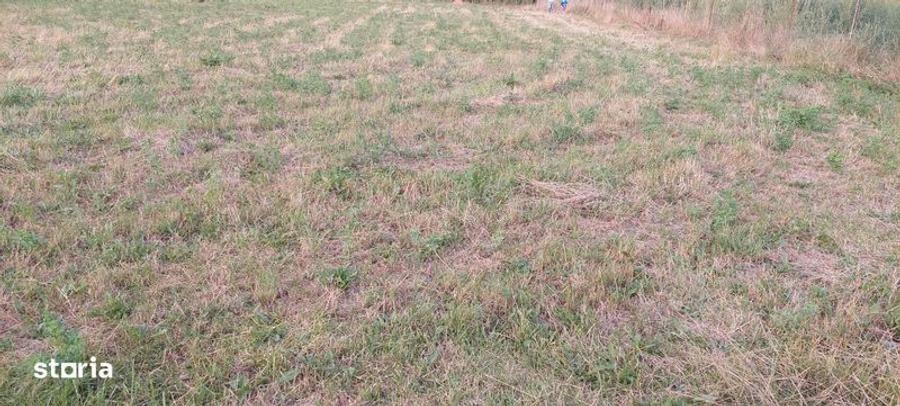 Teren de vanzare - 2