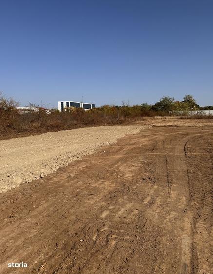 1000mp in Padurea Baneasa (Drumul Muntele Gaina) - direct proprietar - 3