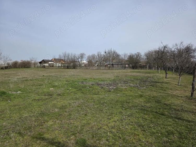 Vand casa comuna Celaru, sat.Soreni ,jud.Dolj - 3