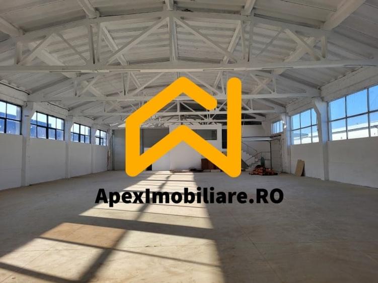 Hala Industriala Xenia – 1800 mp, Acces TIR, Parcare 50 Auto - 3