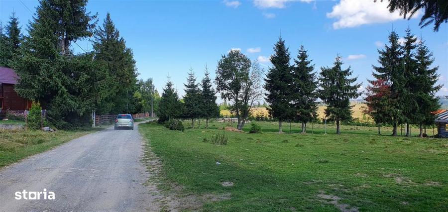 Oportunitare | Teren 1350 mp cu PUZ | Belis - 9