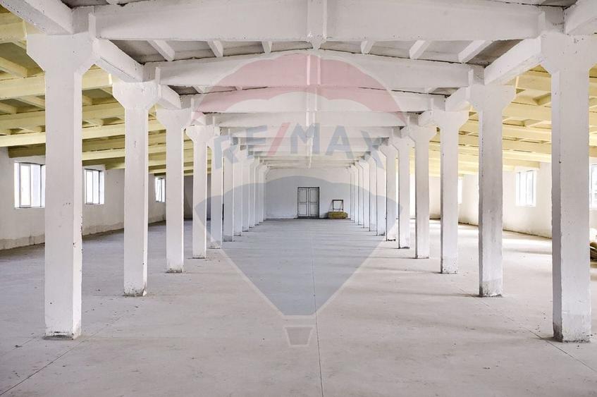 Hala de inchiriat 1000 mp, Calea Bodrogului - 2