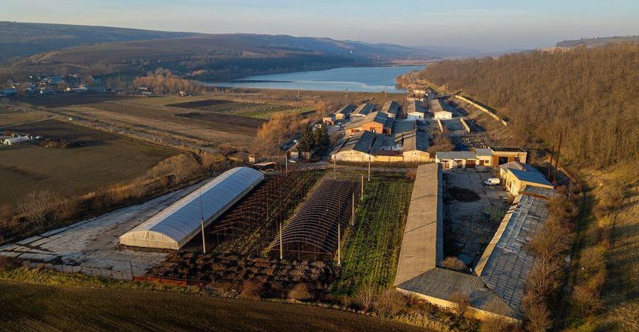 Fosta Ferma a Partidului de la Horgesti - de vanzare - 21