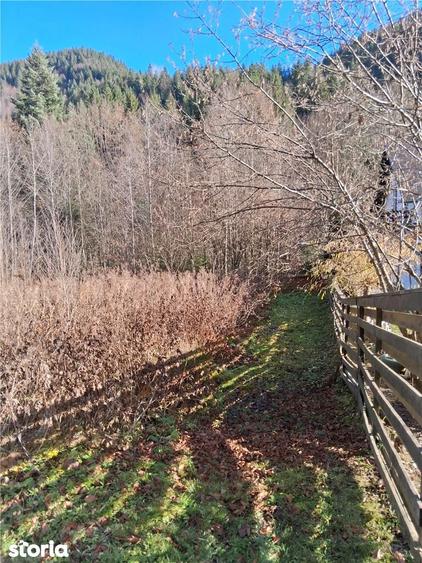 Vand teren in Brates, Neamt, cu iesire la raul Tarcau - 1