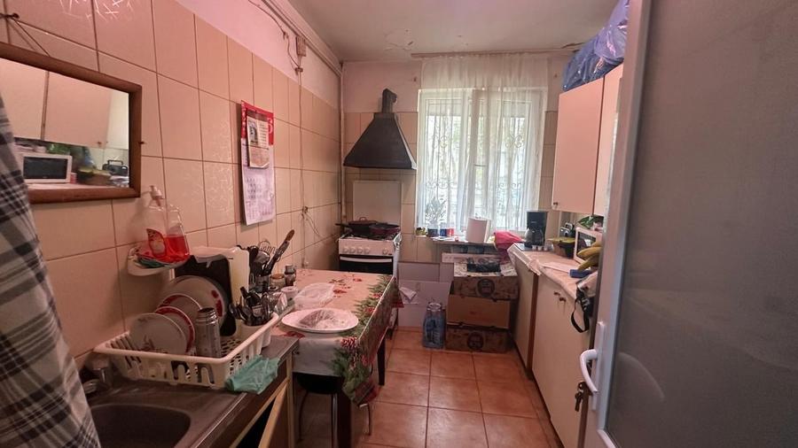 Pajura, metrou Jiului - 10