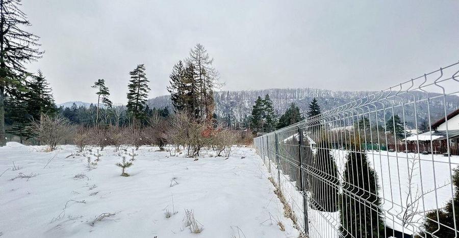 Teren intravilan - Sacele - Brasov - 3