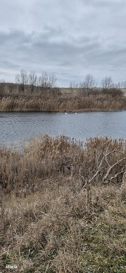 Teren extravilan plus luciu de apa - 2