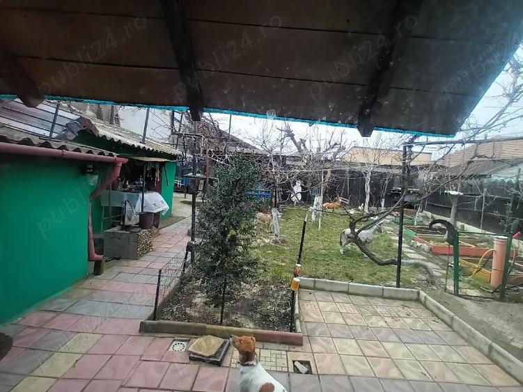 vand casa Medeea - 3