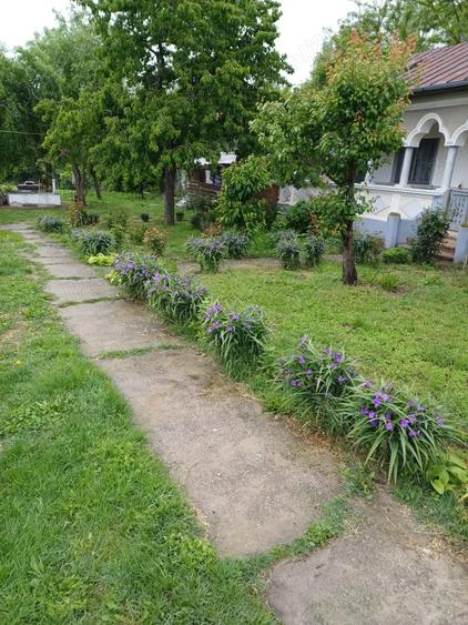 Casa Crevedia Mare Giurgiu - 5