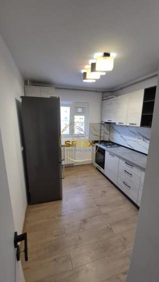 Apartament 3 camere Oltenitei , Parcul Tineretului-Oraselul copiilor - 10