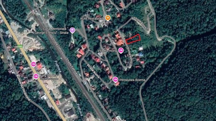 Teren Sinaia/Cumpatu - 1