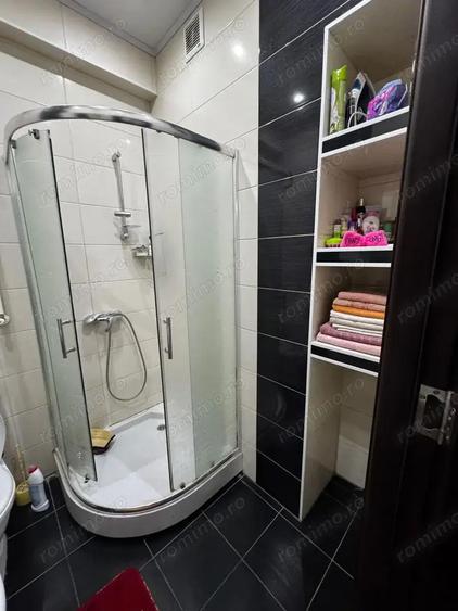 Apartament cu o camera de vanzare Sagului - 5