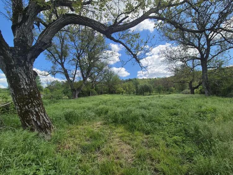 Vand loc de casa Goruia - 4