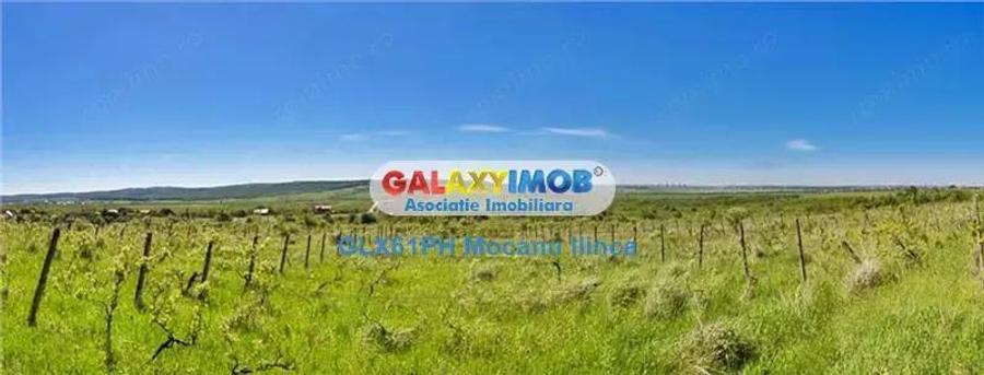 Vanzare teren 60000 mp, in Plopu, la 10 km de Ploiesti - 1