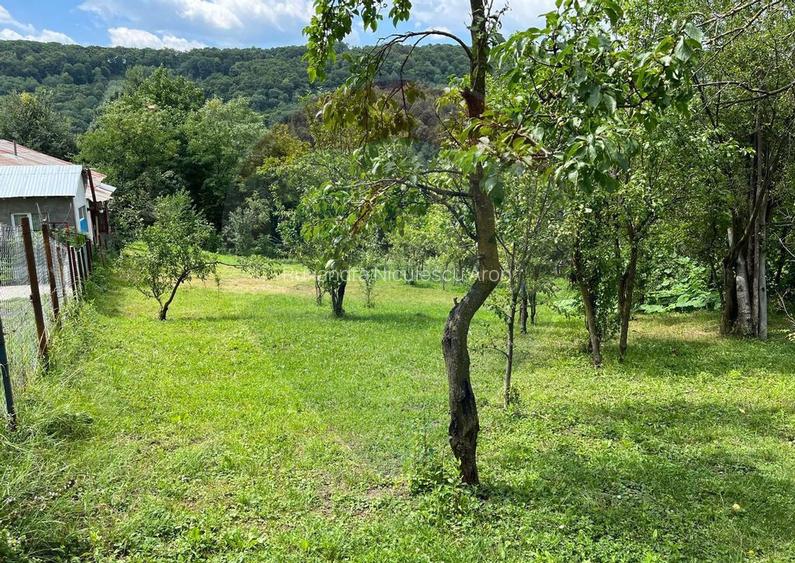 Teren intravilan (fanea?a) de vanzare 2231 mp, Te... Teren intravilan (fanea?a) de vanzare 2231 mp, Te...