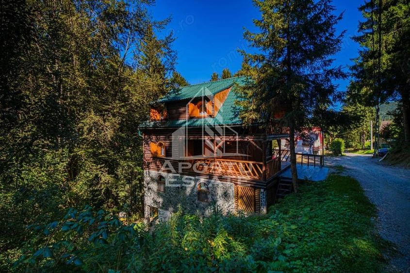 Pensiune, casa de vacanta, 6 camere, statiunea Rausor din Hunedoara - 11