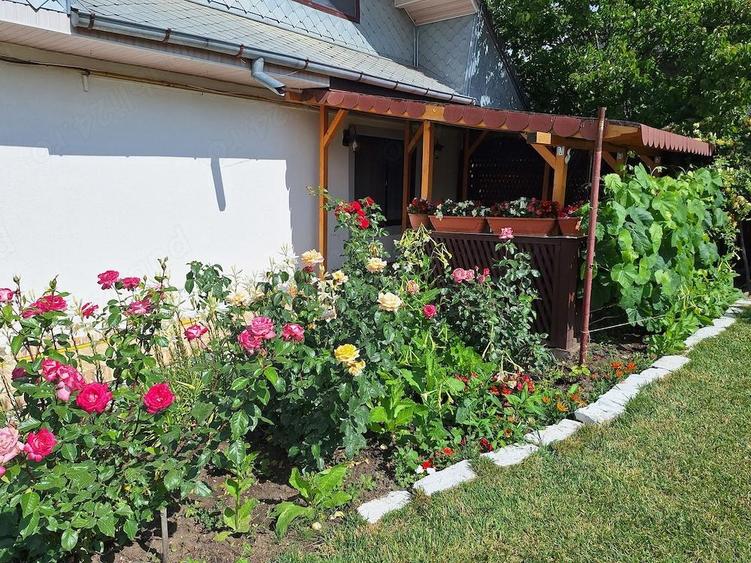 Casa cu teren de vanzare Perieni, Vaslui - 8