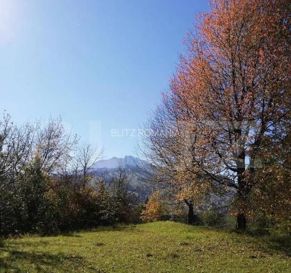 Teren 2500 mp, la strada, Ceahlau,, locatie perfecta Teren 2500 mp, la strada, Ceahlau,, locatie perfecta