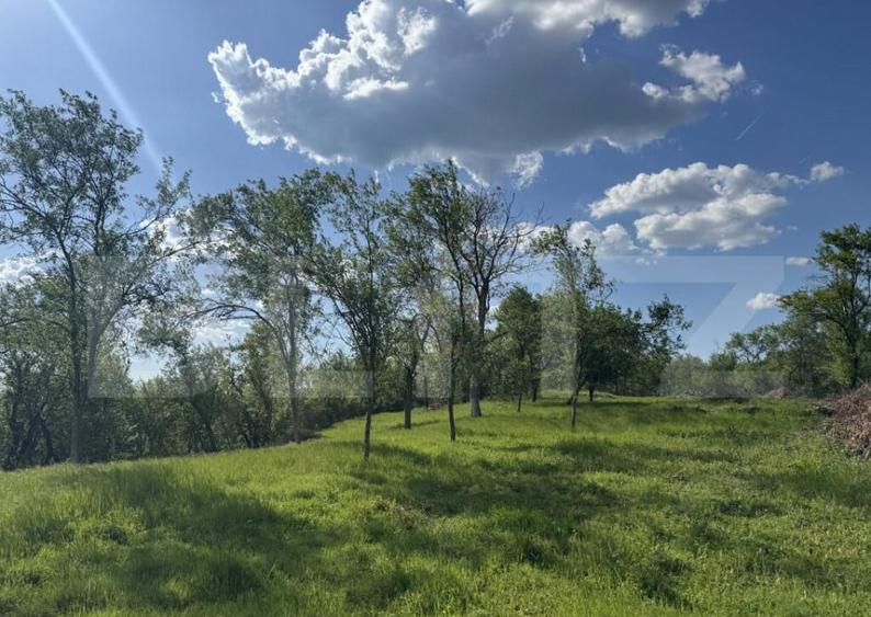 Teren intravilan de vanzare, 15080 mp, zona Tatara?ti - 1