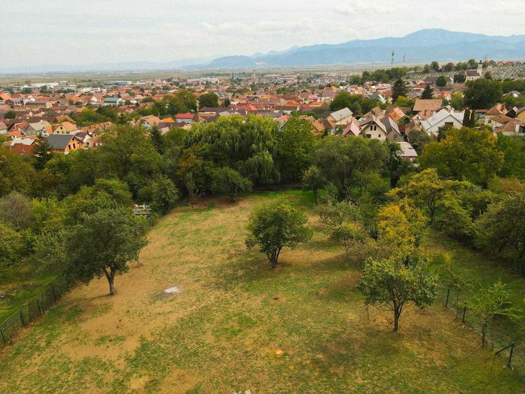 Teren / Parcele (924mp) de vanzare in Codlea - Strada Nicolae Balcescu - 2