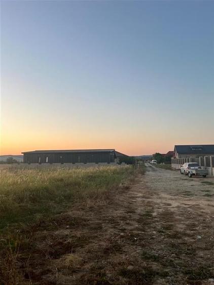 RECO Teren intravilan pentru casa Osorhei cu PUZ - 9