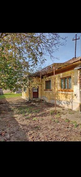 Casa din caramida + teren 3840 mp in Mazili, Valcea - 2