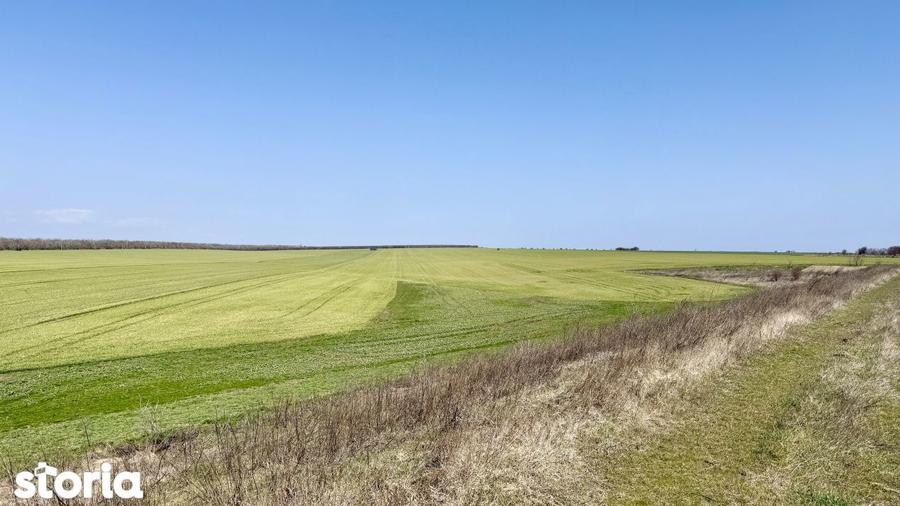 Avans 500 euro - Teren de investitie la Mare! Statiunea Costinesti 444 - 12