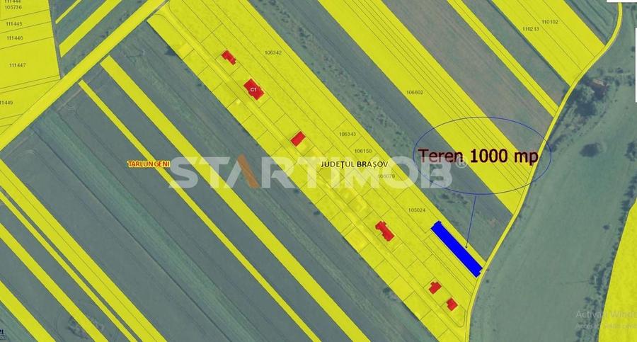 Teren Intravilan Tarlugeni - 1