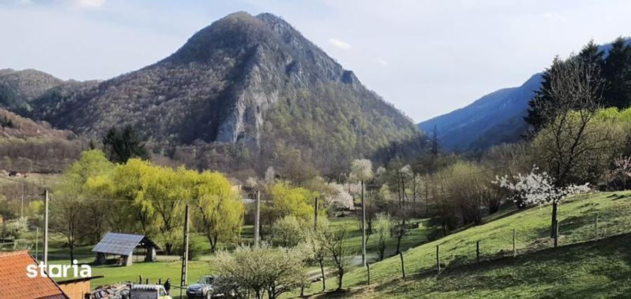 Teren intravilan Closani, 8674 mp pensiune/ casa vacanta - 4
