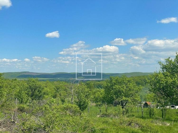 Teren intravilan cu priveliste superba in zona Sibiel - 5