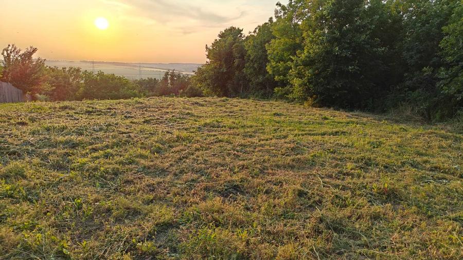 Teren de vanzare Horpaz - 1