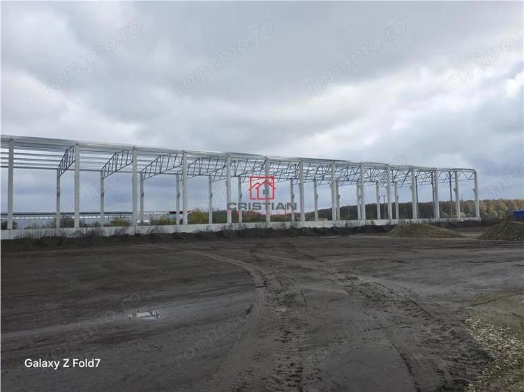 Vanzare depozit hala spatiu industrial Mogosoaia - Buftea - 6